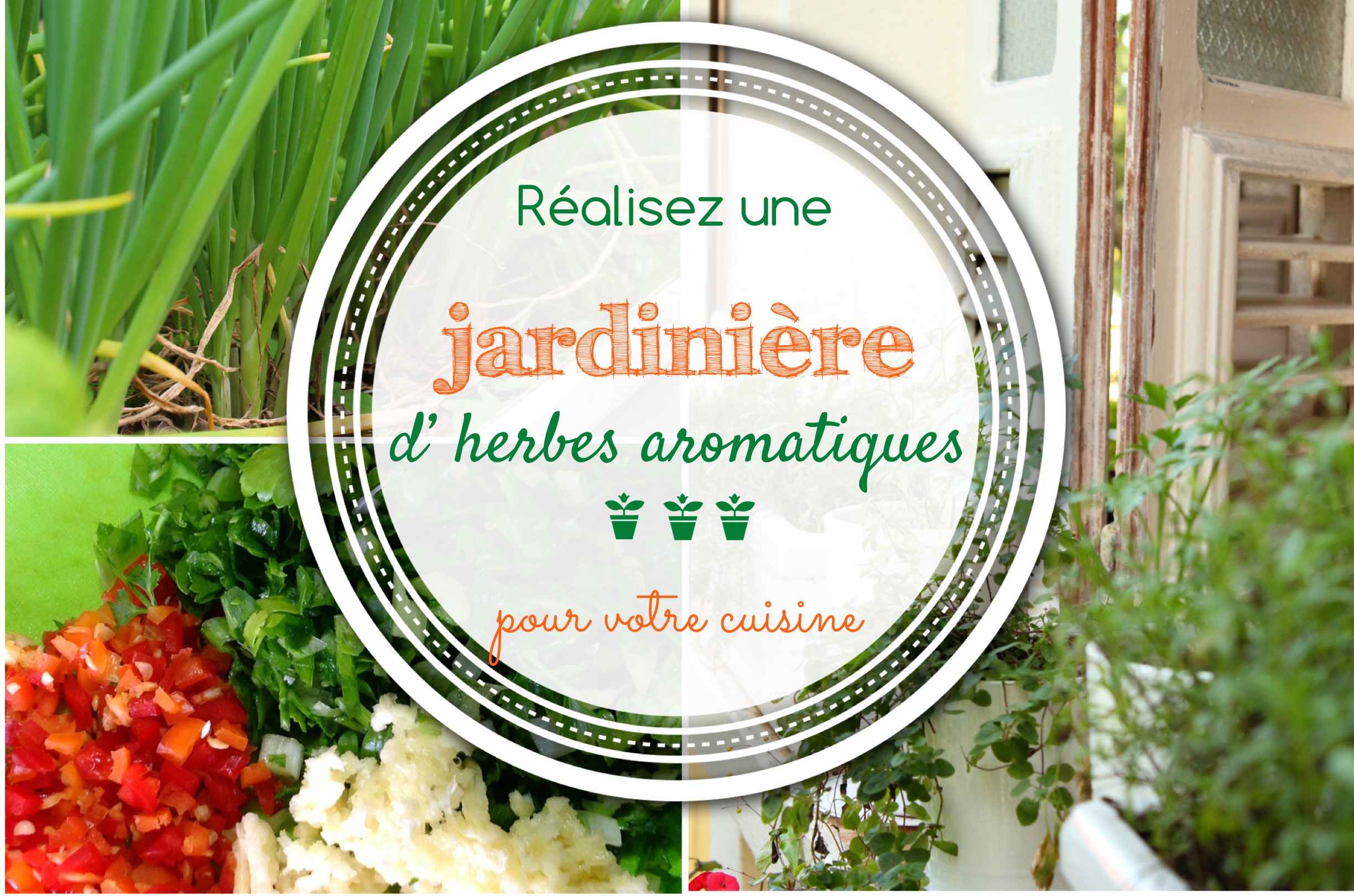 Les herbes aromatiques  Liste, comment les cuisiner, idées recettes