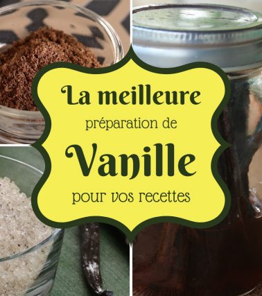 Quelle est la meilleure VANILLE pour vos recettes ?