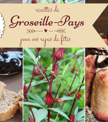 6 recettes de GROSEILLE-PAYS pour vos FÊTES de fin d'année