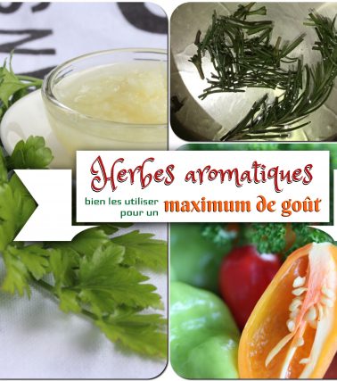 Les HERBES AROMATIQUES, bien les utiliser pour un MAXIMUM de GOÛT