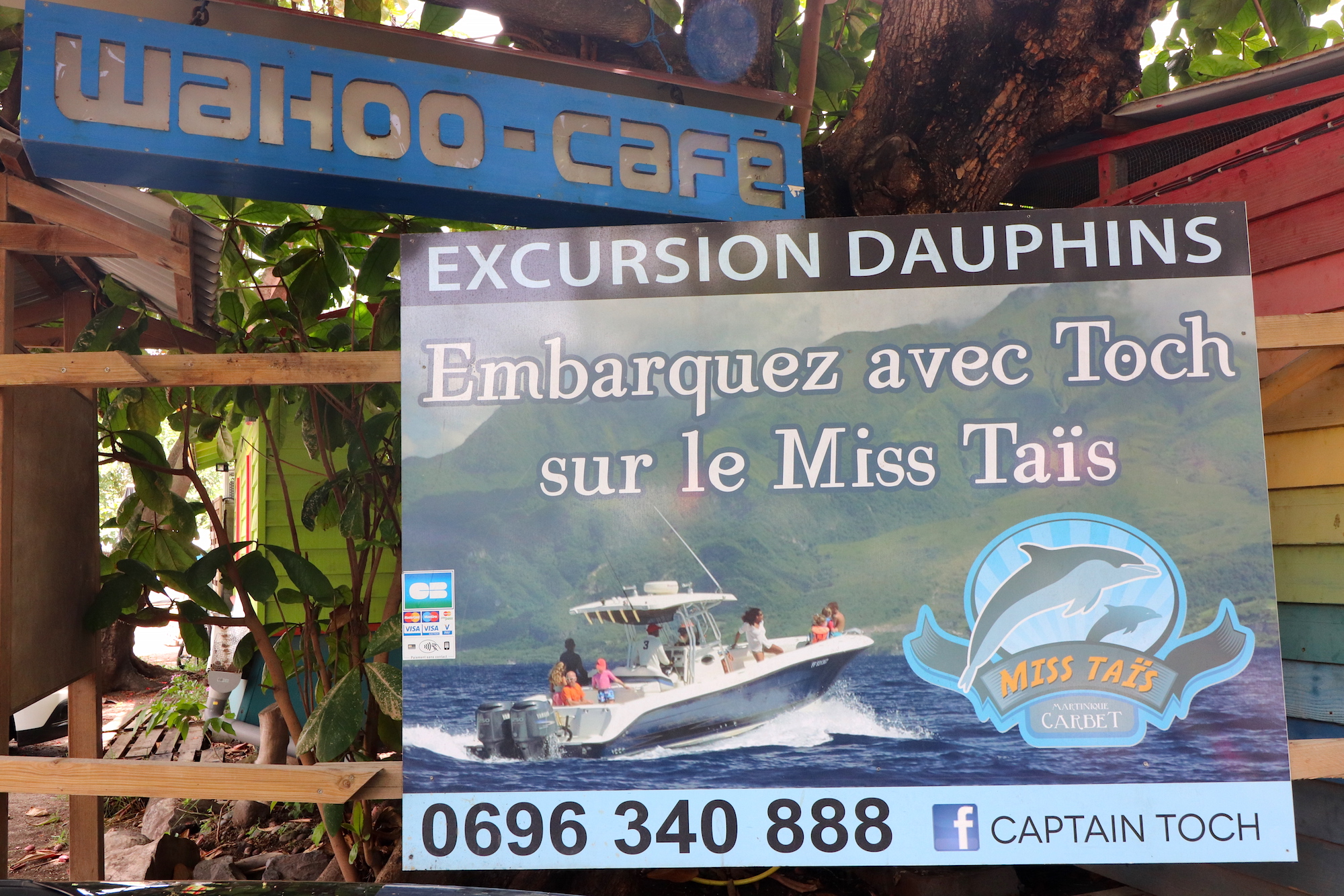 Sortie dauphin avec Captain Toch au Carbet, Martinique