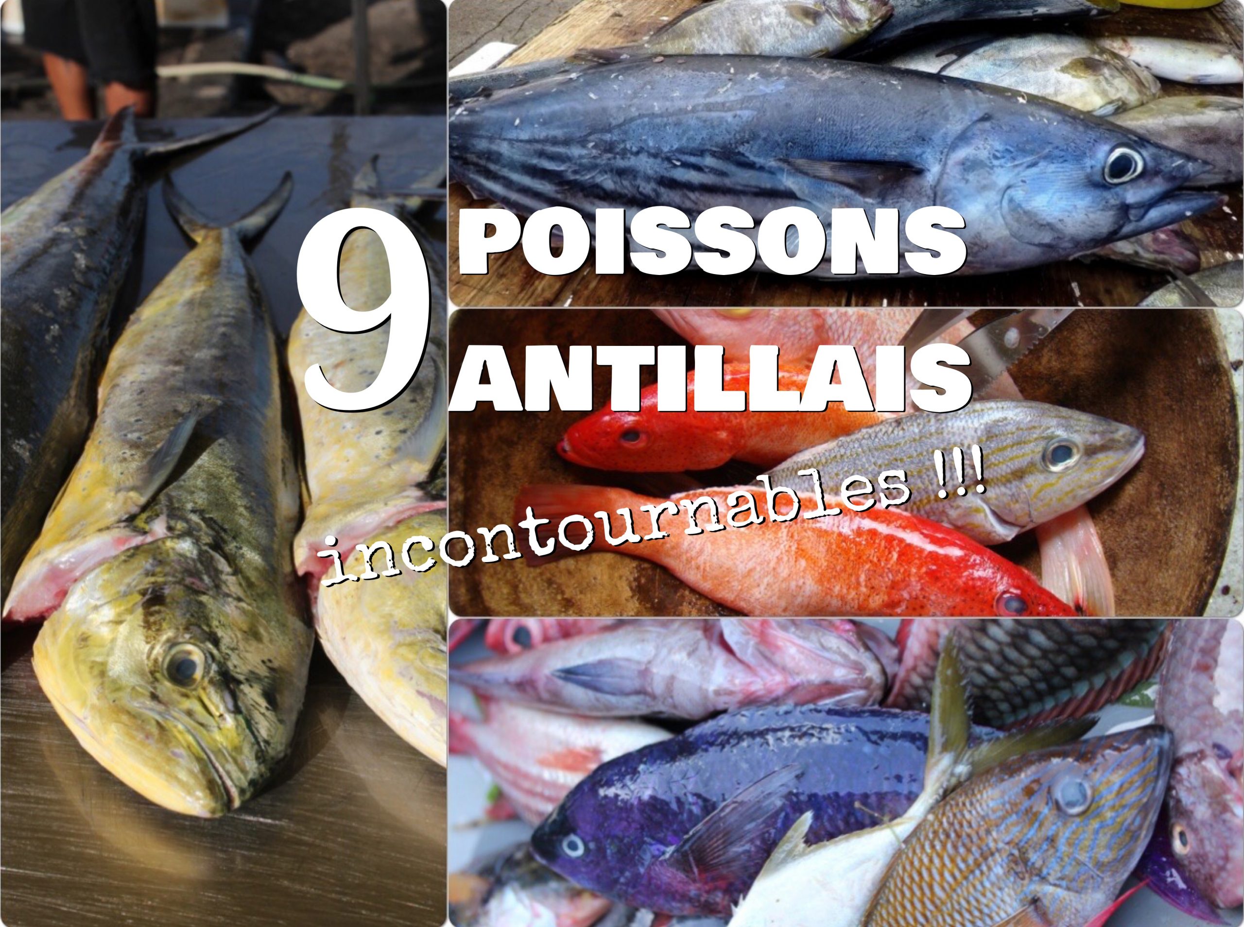 https://www.tatiemaryse.com/wp-content/uploads/2021/02/9-poissons-antillais-incontournables-scaled.jpg