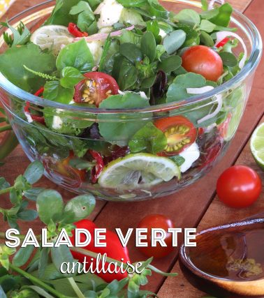 Recette de la SALADE VERTE antillaise (aux herbes du jardin) de Katreen