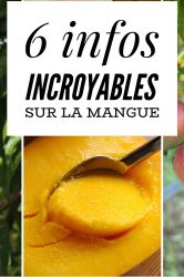 6 infos sur la mangue